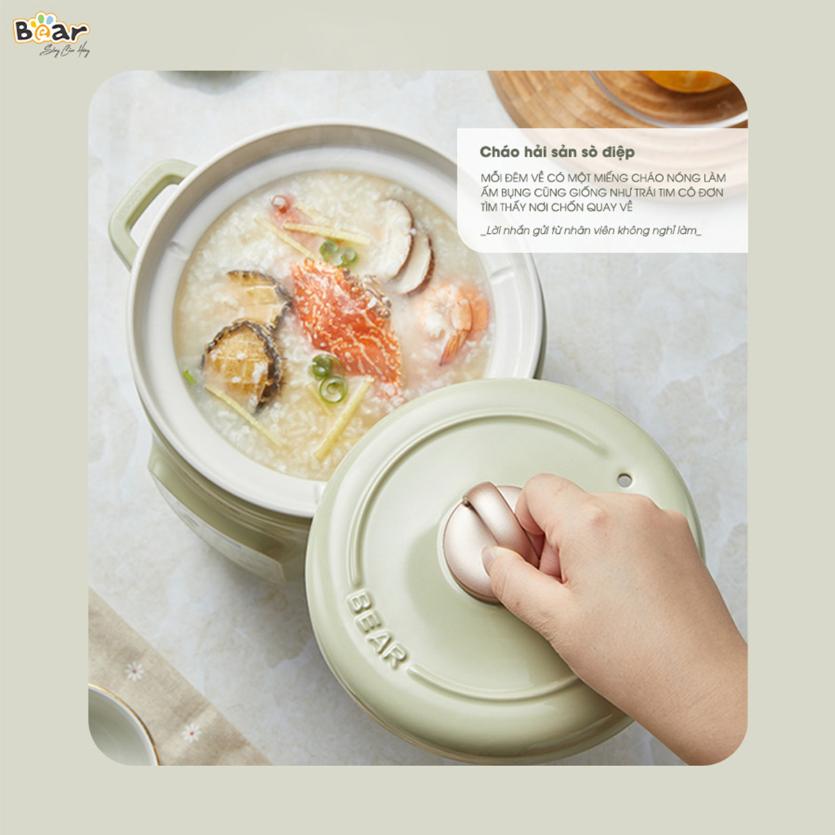 Nồi nấu chậm trực tiếp Bear 2L SB-NNC20