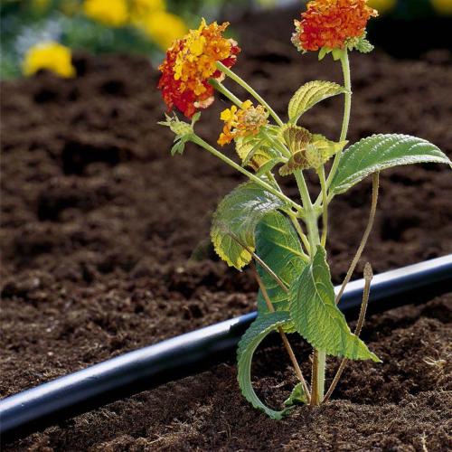 Dây tưới nhỏ giọt 1 2 inch Gardena 01347-20