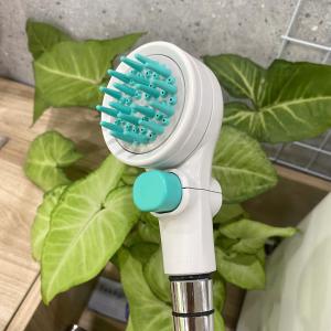 Vòi hoa sen Pets có nút dừng Takagi (JSB027GY)