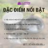 Nồi Nấu Chậm Robitek - Giải Pháp Hầm Tiềm Dinh Dưỡng Hoàn Hảo Cho Gia Đình