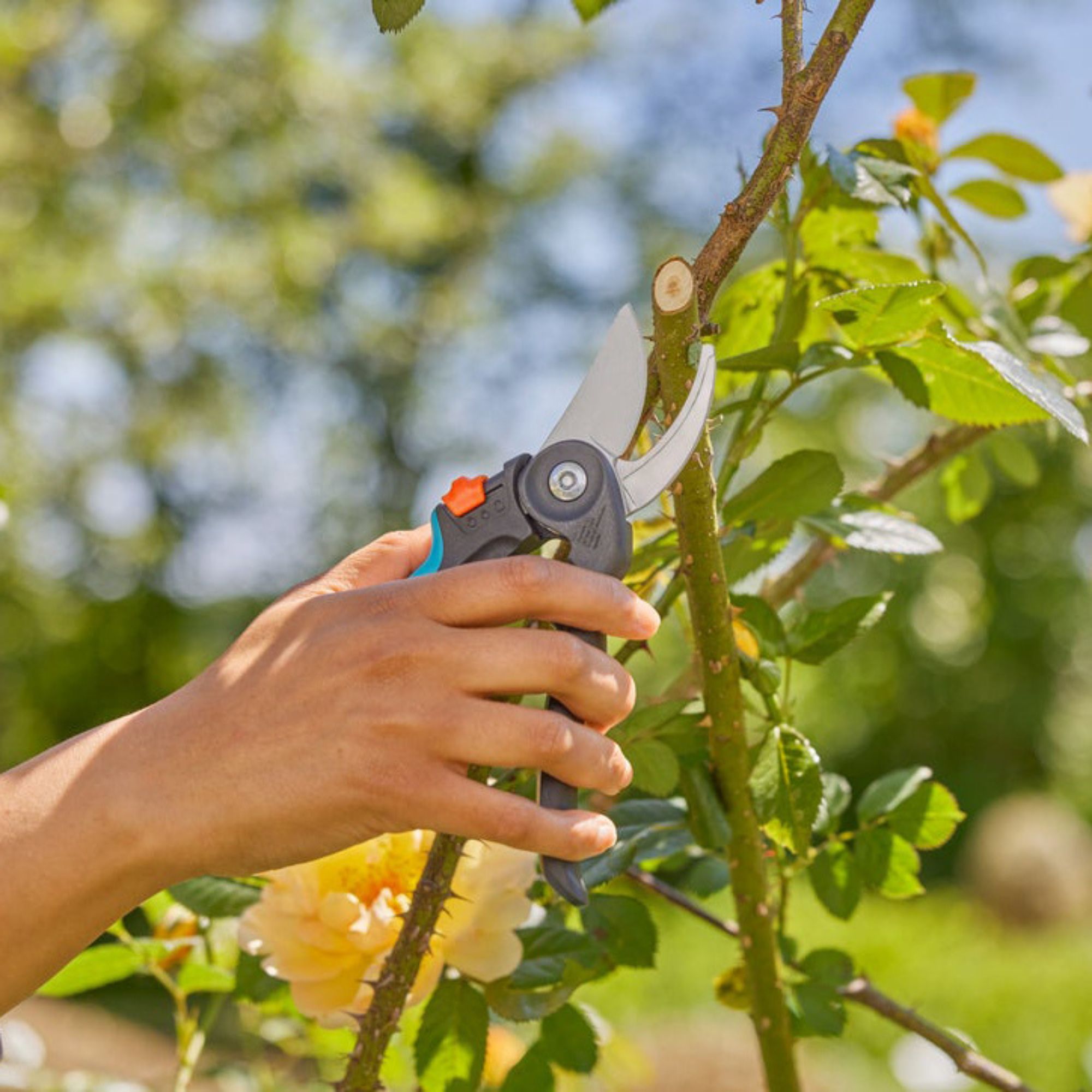 Kìm Cắt Cành Cổ Điển Gardena 12242-20 - Giải Pháp Cắt Tỉa Chuyên Nghiệp