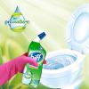Nước Tẩy Bồn Cầu Biff WC Total 750ml - Giải Pháp Làm Sạch Toàn Diện Từ Đức