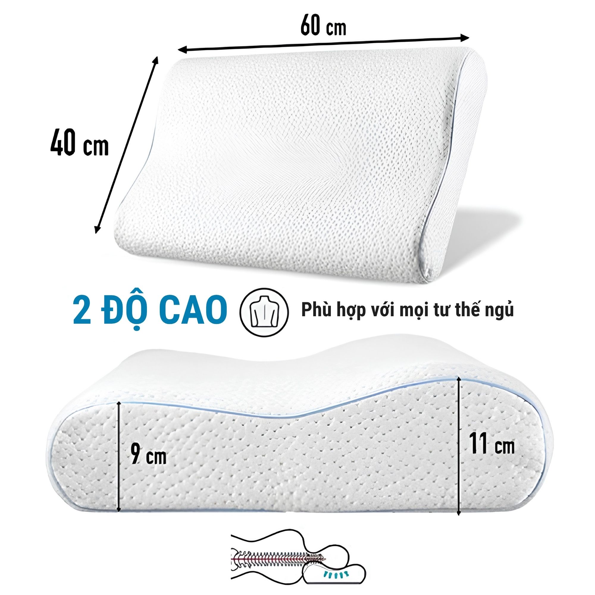 Gối Dreamzie - Giải Pháp Chăm Sóc Cổ Vai Gáy Tiêu Chuẩn Châu Âu