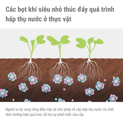 Đầu Nối Tạo Bọt Khí Takagi G1069 - Giải Pháp Tưới Tiêu Và Làm Sạch Đột Phá Từ Nhật Bản